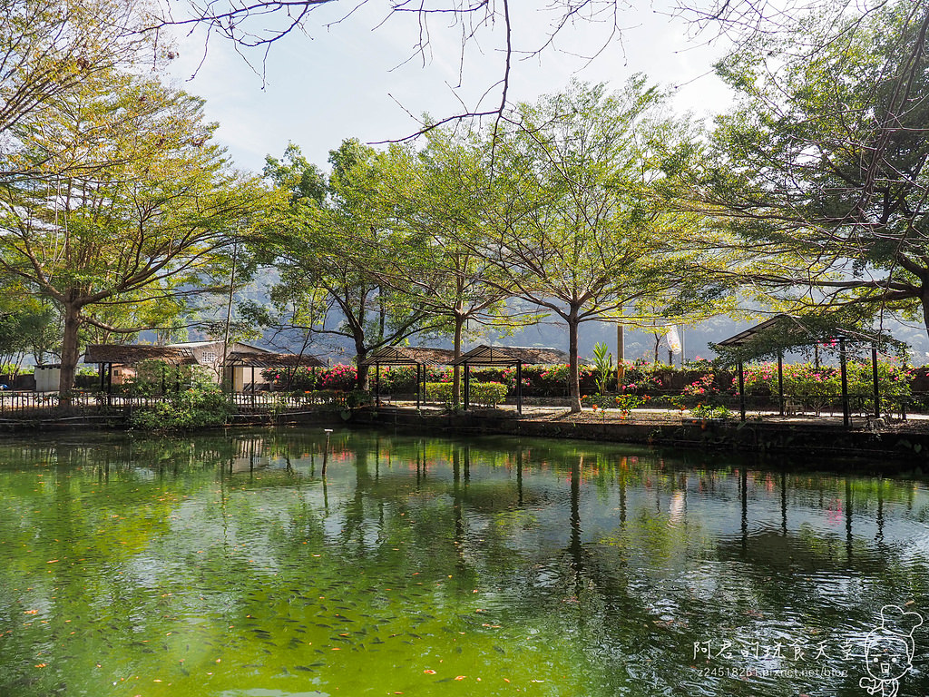 【苗栗】泰安雪見部落之旅｜深度旅遊私房景點一泊三食｜慈夢柔民宿｜鯉魚潭水庫｜士林大壩｜象鼻吊橋