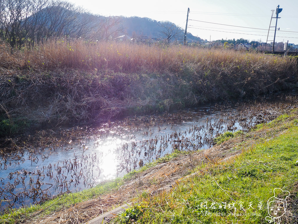 【日本】島根、鳥取十天自由行～來去日本過聖誕&跨年(10)｜新年參拜～來白兔神社求好姻緣｜濱村溫泉小鎮泡足湯