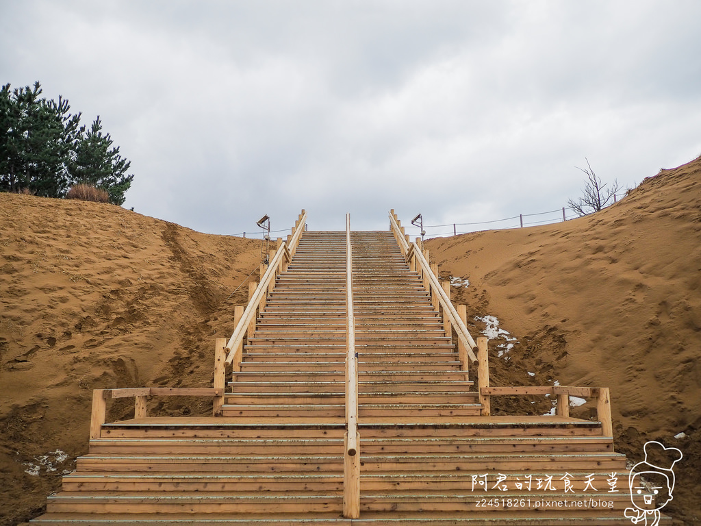 【日本】島根、鳥取十天自由行～來去日本過聖誕&跨年(9)｜來去鳥取砂丘騎駱駝｜砂之美術館 北歐篇