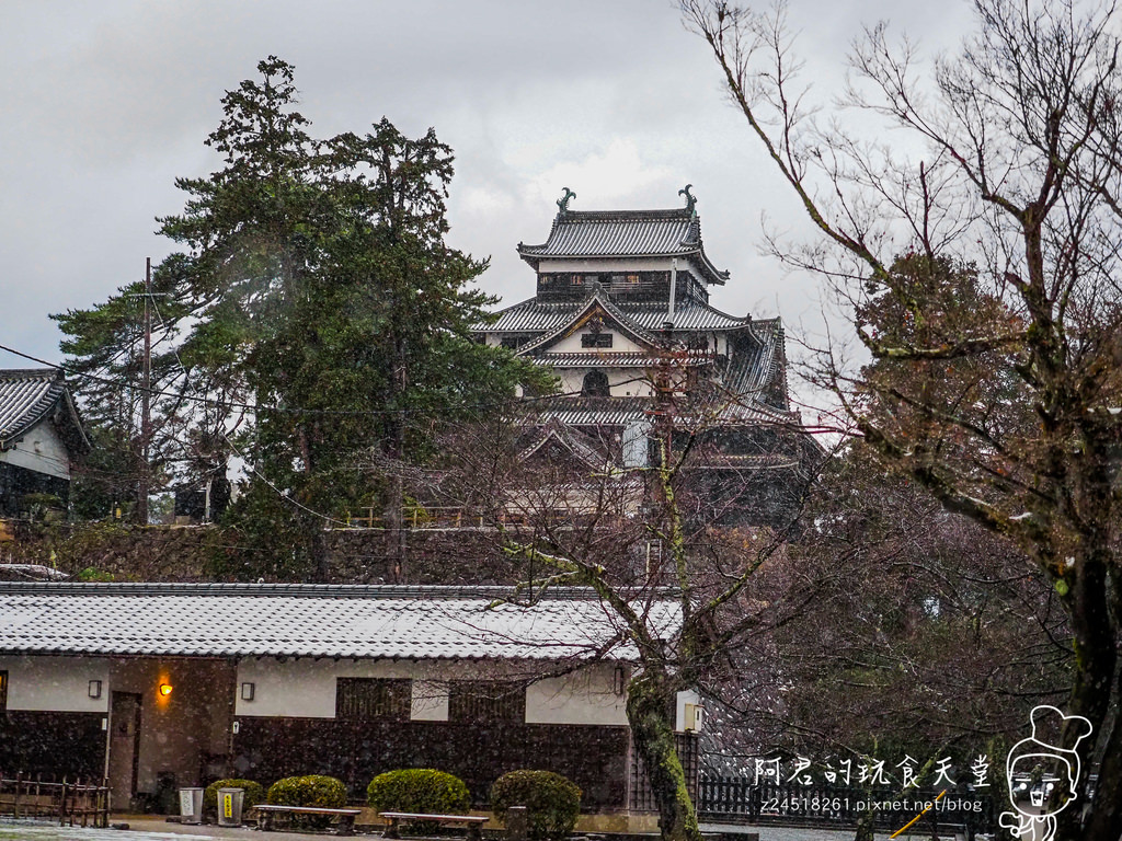 【日本】島根、鳥取十天自由行～來去日本過聖誕&跨年(6)｜求緣必訪～出雲大社｜松江城～堀川遊覽船半日遊