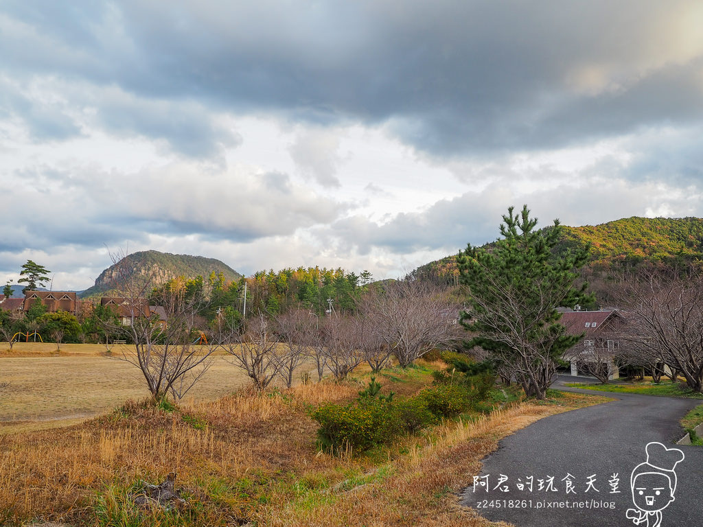 【日本】島根、鳥取十天自由行～來去日本過聖誕&跨年(2)｜隱岐の島－島後｜杳無人煙的絕美秘境｜屋那の松原・舟小屋群｜玉若酢命神社｜八百杉｜淨土之浦海岸｜白島展望台｜油井の池｜壇鏡神社