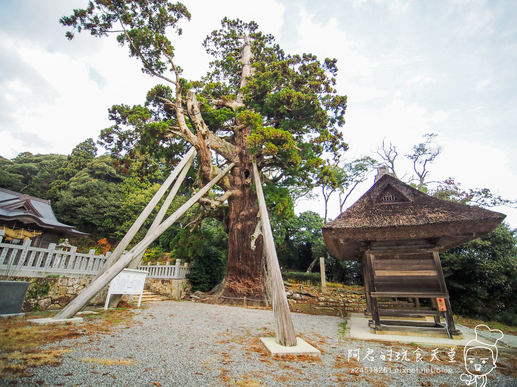 【日本】島根、鳥取十天自由行～來去日本過聖誕&跨年(2)｜隱岐の島－島後｜杳無人煙的絕美秘境｜屋那の松原・舟小屋群｜玉若酢命神社｜八百杉｜淨土之浦海岸｜白島展望台｜油井の池｜壇鏡神社