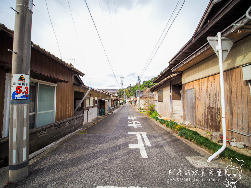 【日本】島根、鳥取十天自由行～來去日本過聖誕&跨年(2)｜隱岐の島－島後｜杳無人煙的絕美秘境｜屋那の松原・舟小屋群｜玉若酢命神社｜八百杉｜淨土之浦海岸｜白島展望台｜油井の池｜壇鏡神社