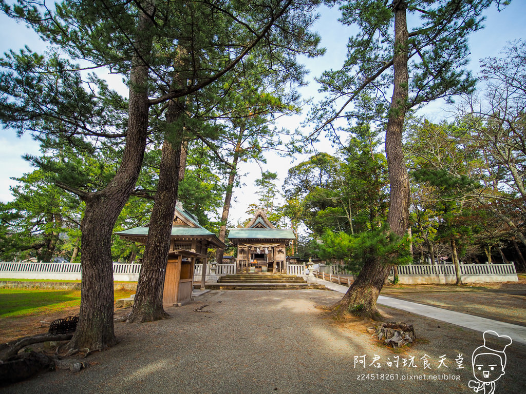 【日本】島根、鳥取十天自由行～來去日本過聖誕&跨年(2)｜隱岐の島－島後｜杳無人煙的絕美秘境｜屋那の松原・舟小屋群｜玉若酢命神社｜八百杉｜淨土之浦海岸｜白島展望台｜油井の池｜壇鏡神社