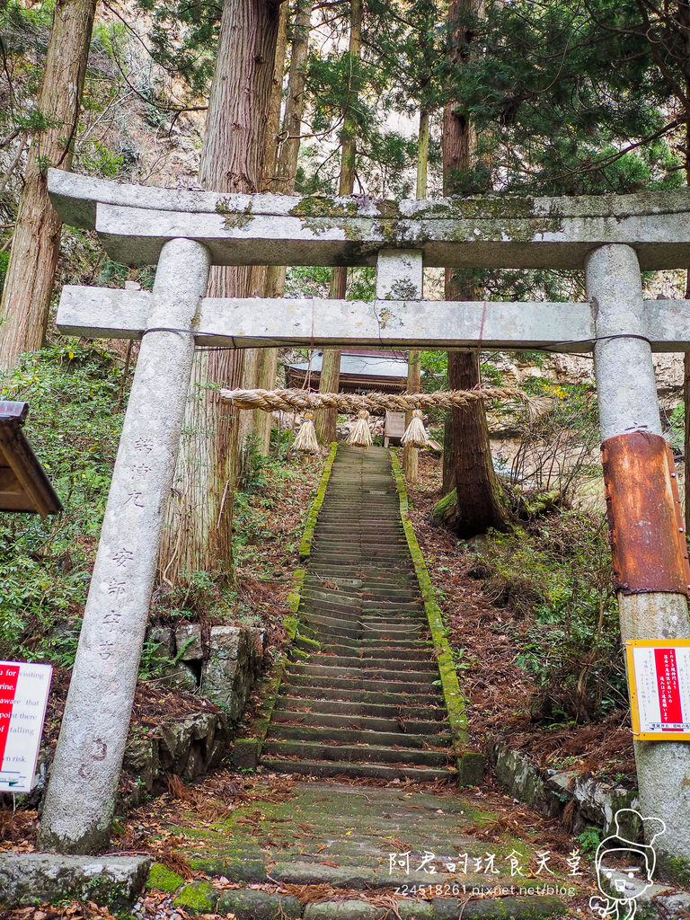 【日本】島根、鳥取十天自由行～來去日本過聖誕&跨年(2)｜隱岐の島－島後｜杳無人煙的絕美秘境｜屋那の松原・舟小屋群｜玉若酢命神社｜八百杉｜淨土之浦海岸｜白島展望台｜油井の池｜壇鏡神社