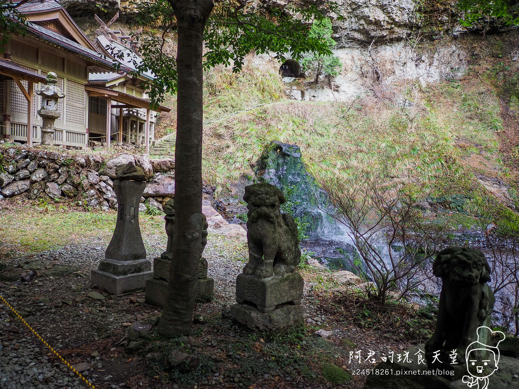 【日本】島根、鳥取十天自由行～來去日本過聖誕&跨年(2)｜隱岐の島－島後｜杳無人煙的絕美秘境｜屋那の松原・舟小屋群｜玉若酢命神社｜八百杉｜淨土之浦海岸｜白島展望台｜油井の池｜壇鏡神社