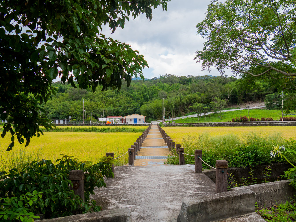 【遊記】一個人八天七夜鐵路環島｜清晨五點半的池上｜大陸婆婆來自千里的好滋味｜能吃嗎？福原豆腐山葵醬油豆花｜隱身田中的九號咖啡館