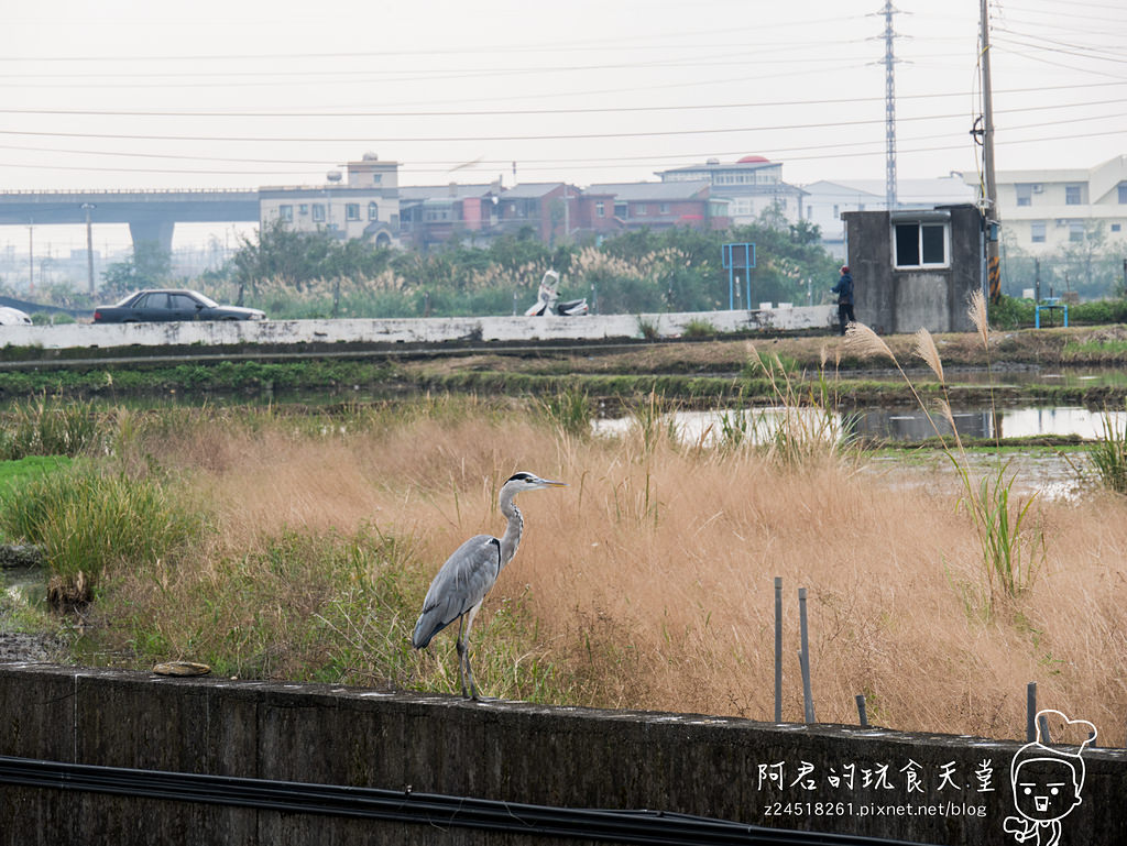 【宜蘭】礁溪鄉金車蘭花園 不幸遇到下雨天的好去處