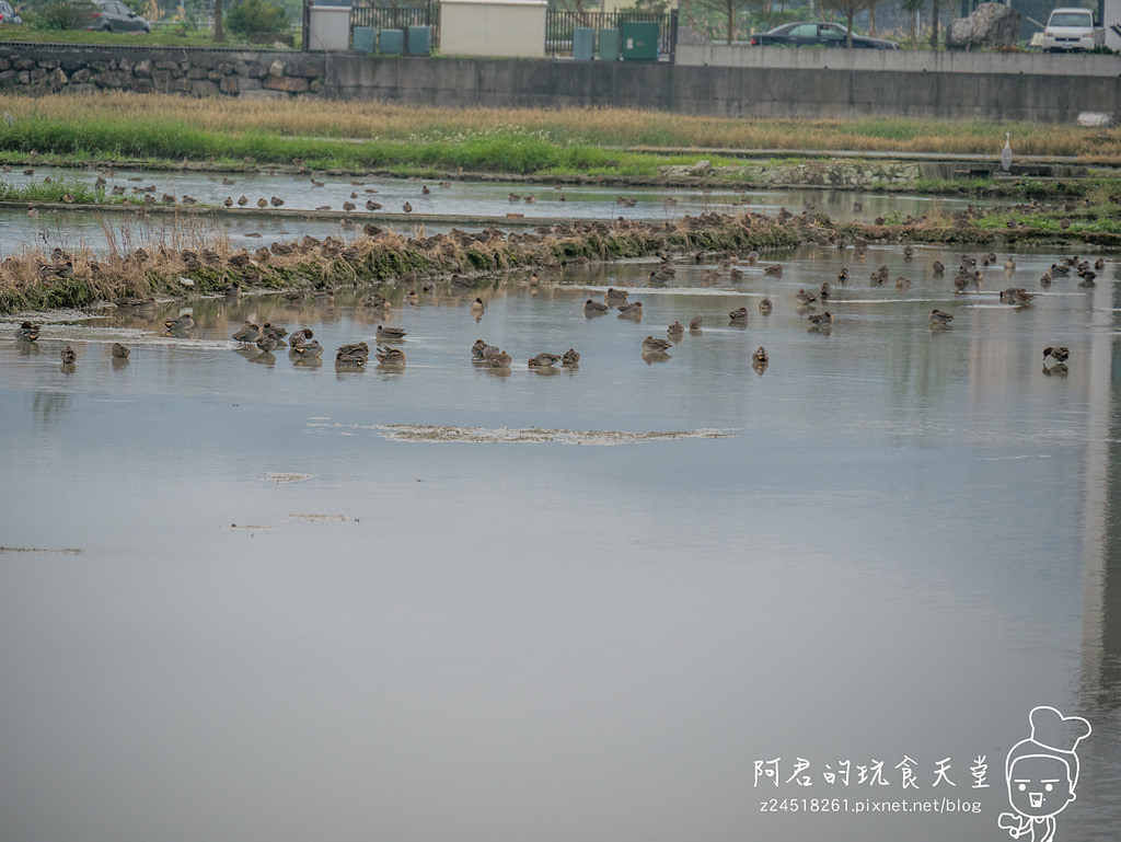 【宜蘭】礁溪鄉金車蘭花園 不幸遇到下雨天的好去處