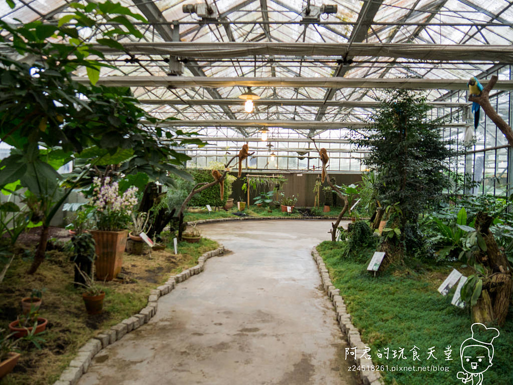 【宜蘭】礁溪鄉金車蘭花園 不幸遇到下雨天的好去處