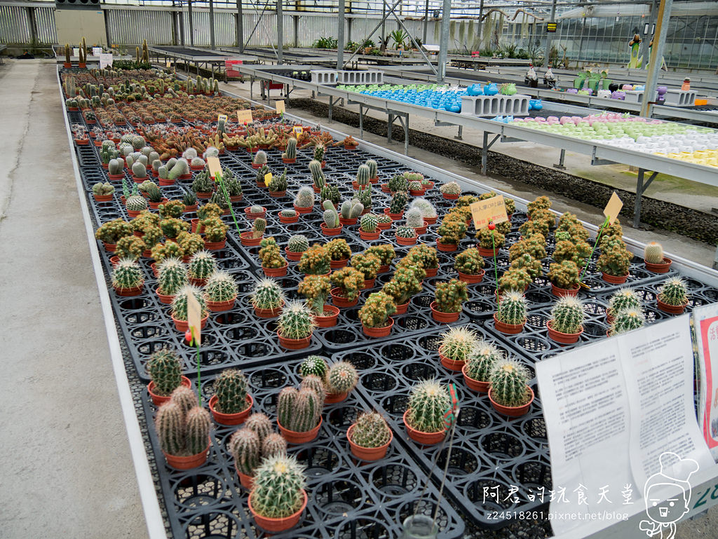 【宜蘭】礁溪鄉金車蘭花園 不幸遇到下雨天的好去處