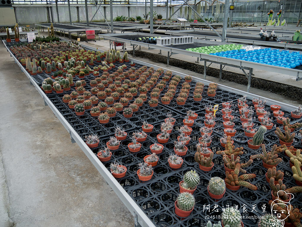 【宜蘭】礁溪鄉金車蘭花園 不幸遇到下雨天的好去處