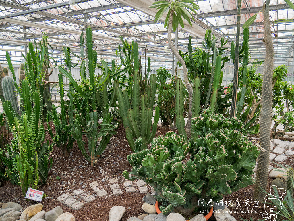 【宜蘭】礁溪鄉金車蘭花園 不幸遇到下雨天的好去處