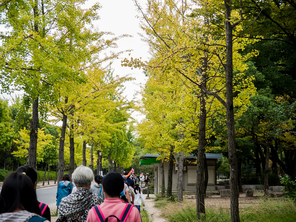 關西五日遊跟團初體驗、環球影城、漫遊三都物語 DAY 5