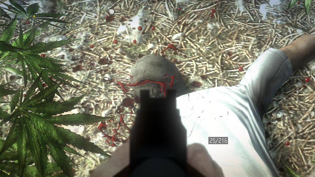 現代的西部戰爭 Call of Juarez: The Cartel - 第3張圖 現代的西部戰爭 Call of Juarez: The Cartel