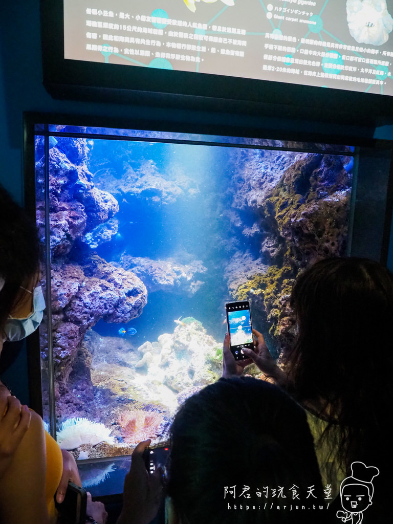 【桃園】Xpark 新都會型水族館｜北部最大水族館｜票價、交通介紹