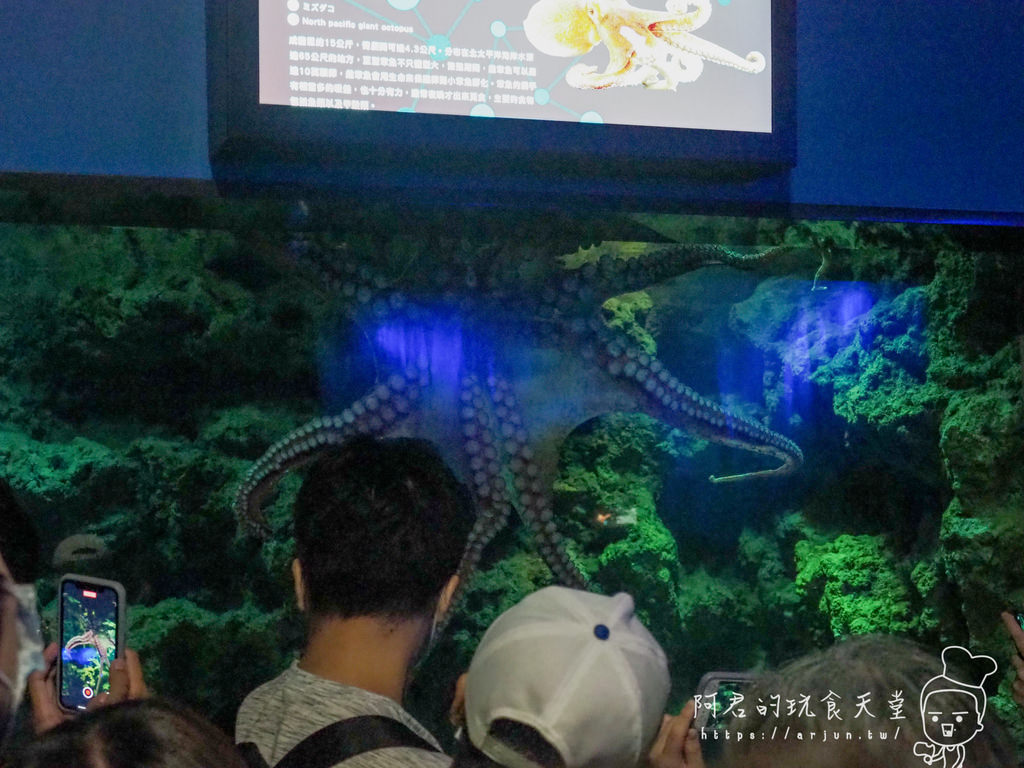 【桃園】Xpark 新都會型水族館｜北部最大水族館｜票價、交通介紹