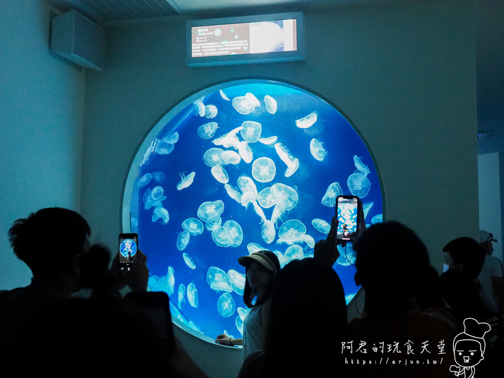 【桃園】Xpark 新都會型水族館｜北部最大水族館｜票價、交通介紹