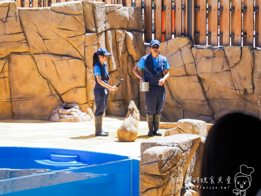 【桃園】Xpark 新都會型水族館｜北部最大水族館｜票價、交通介紹