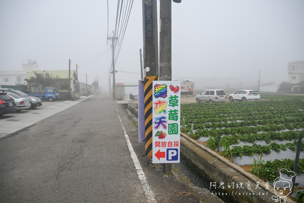 【苗栗】快來大湖採草莓！舞夜天高架草莓園，親子一日遊景點大推薦