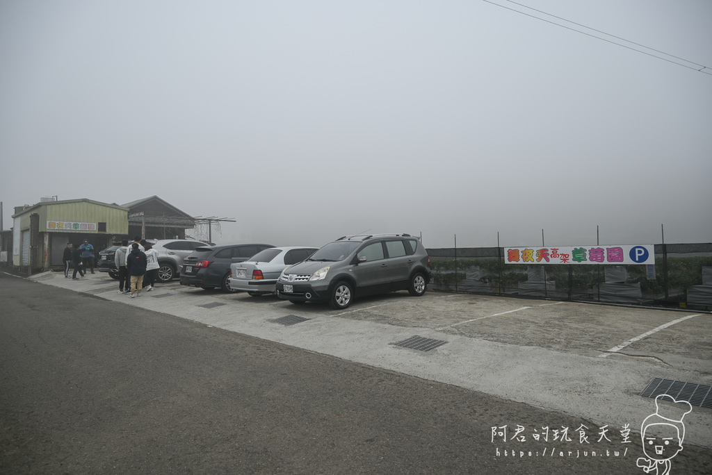 【苗栗】快來大湖採草莓！舞夜天高架草莓園，親子一日遊景點大推薦