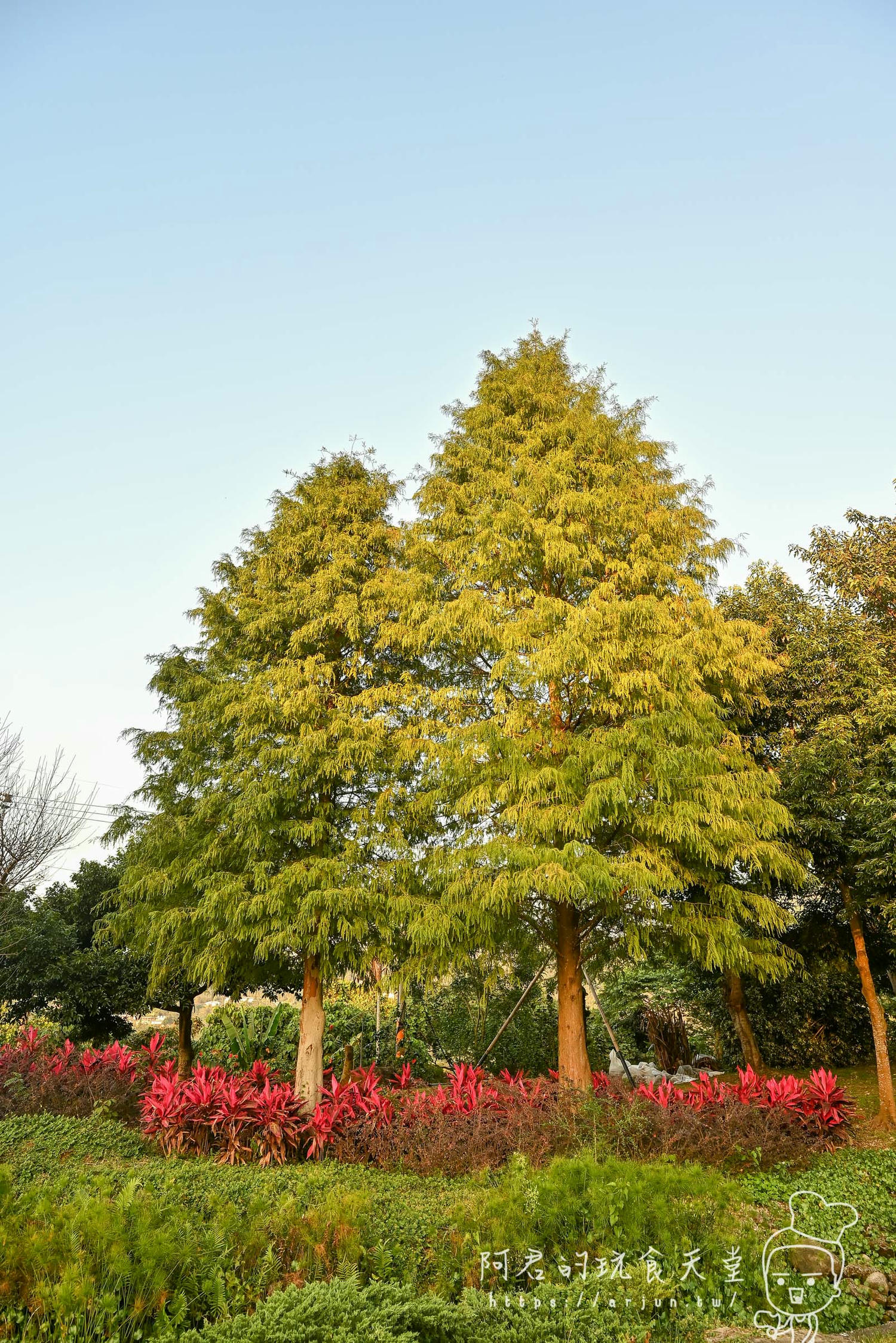 【雲林】華山觀止虫二行館｜大家都說國旅很貴！我睡了一晚六千的房間，你們覺得值得嗎？