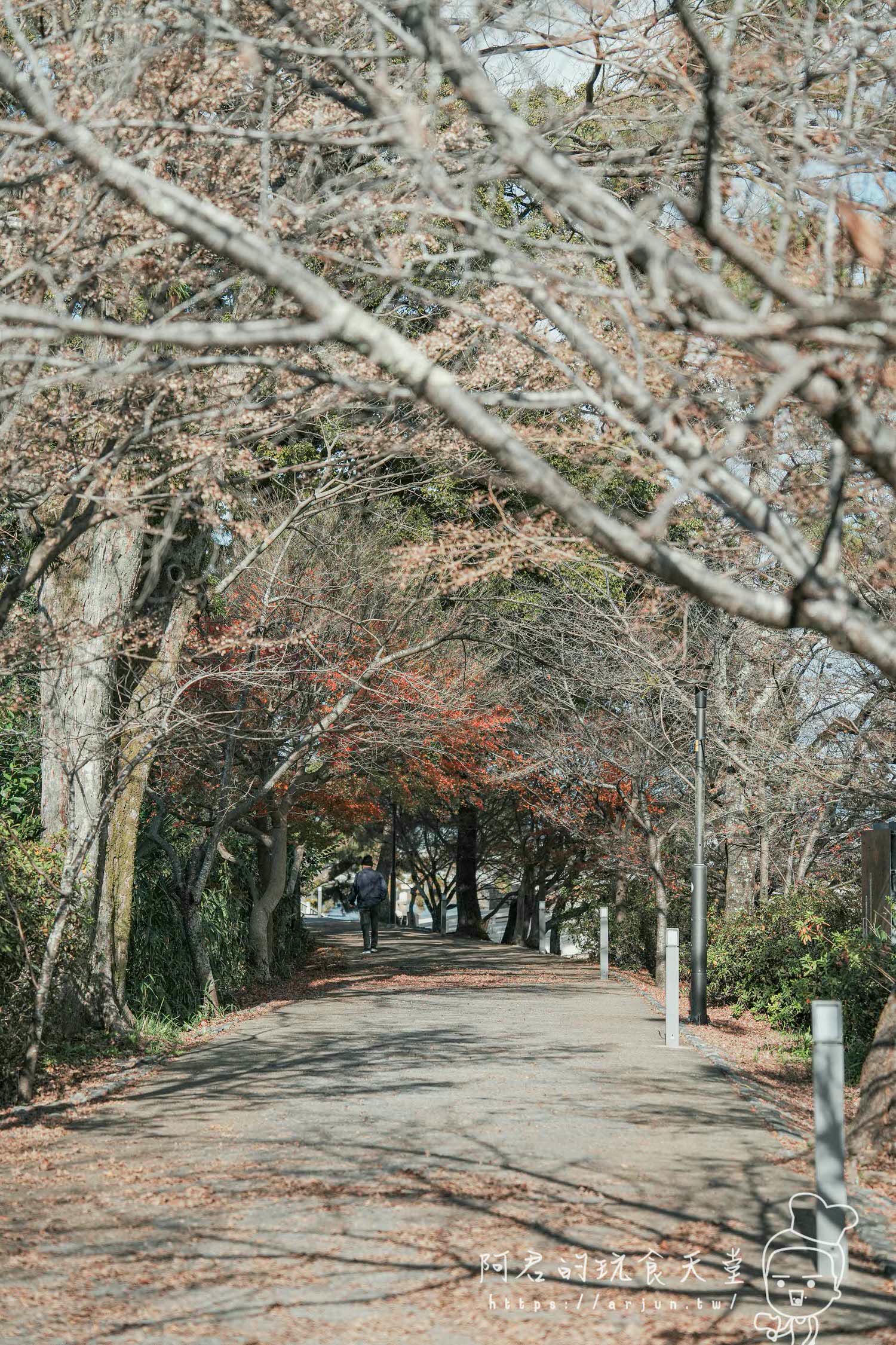 【日本】宇治 抹茶之都一日遊～對鳳庵 茶道體驗｜平等院、平等院表參道、宇治上神社、宇治神社、源式物語博物館