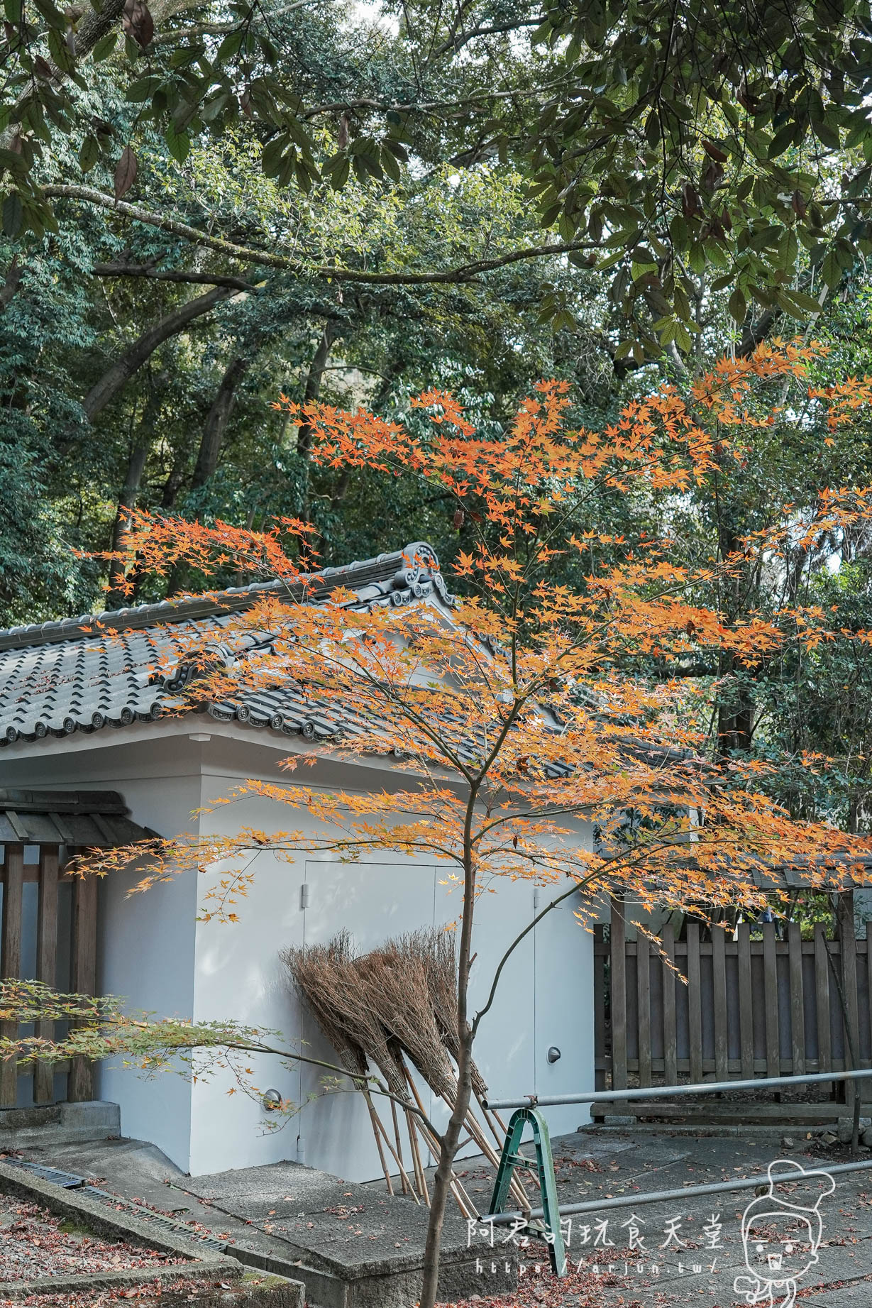 【日本】宇治 抹茶之都一日遊～對鳳庵 茶道體驗｜平等院、平等院表參道、宇治上神社、宇治神社、源式物語博物館