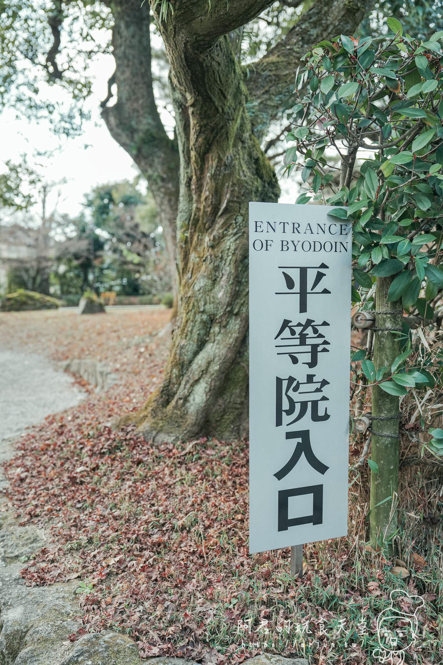 【日本】宇治 抹茶之都一日遊～對鳳庵 茶道體驗｜平等院、平等院表參道、宇治上神社、宇治神社、源式物語博物館