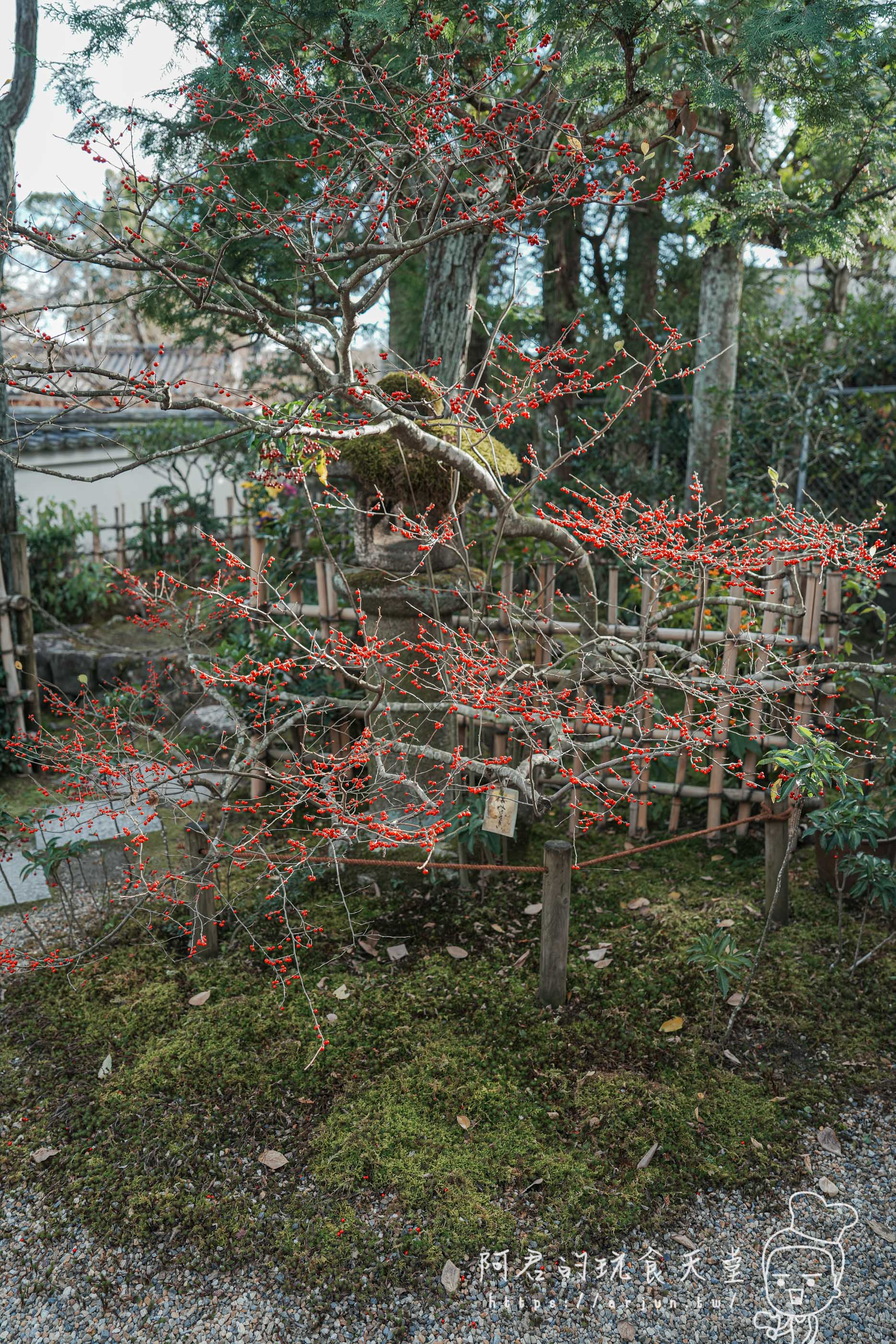 【日本】宇治 抹茶之都一日遊～對鳳庵 茶道體驗｜平等院、平等院表參道、宇治上神社、宇治神社、源式物語博物館