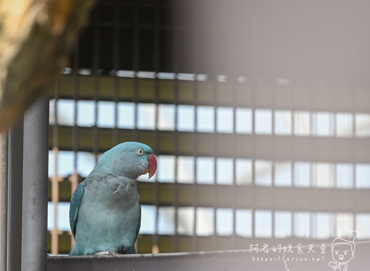 南投親子旅遊推薦！九九峰動物樂園，門票優惠、交通、周邊必玩景點一次看