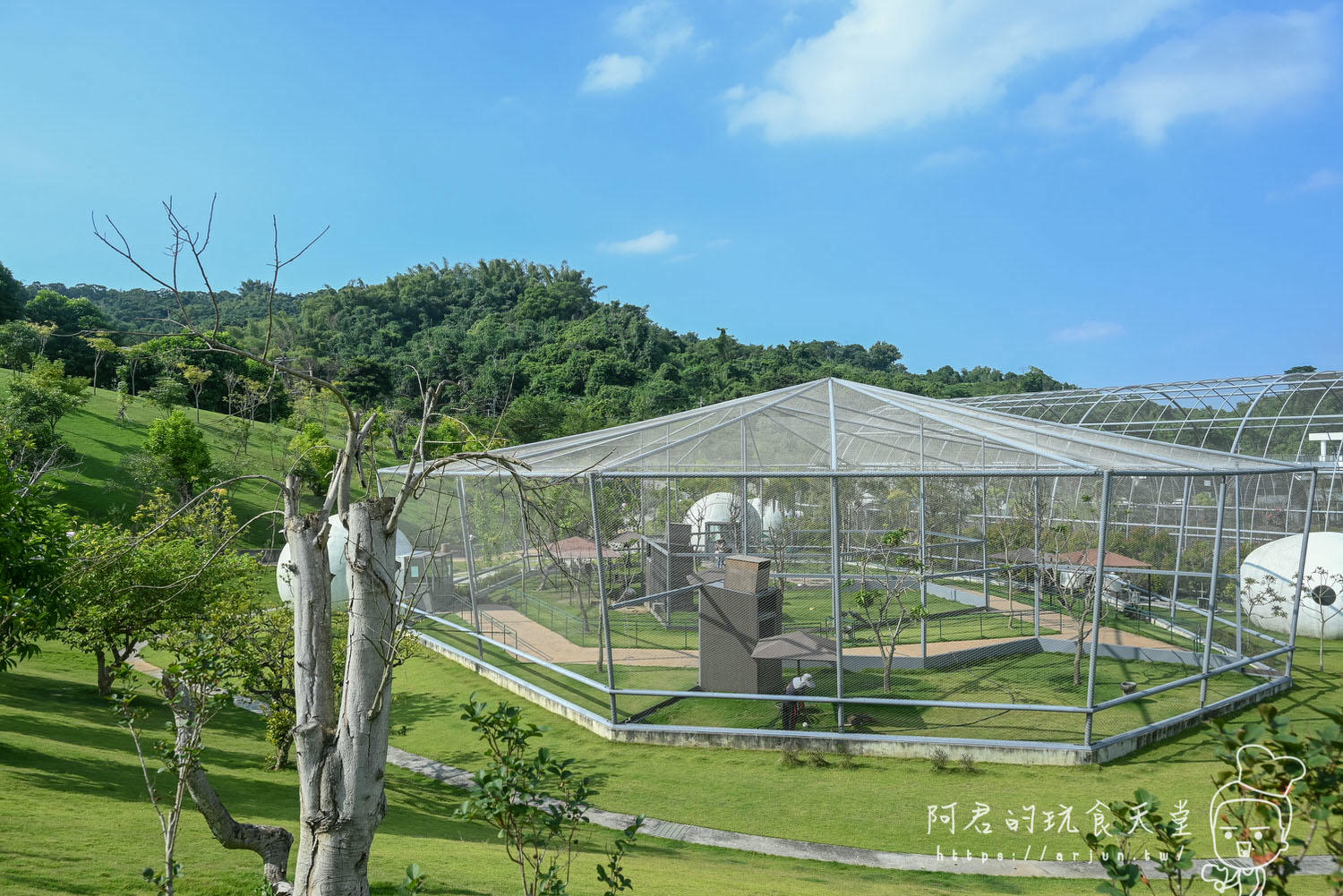 南投親子旅遊推薦！九九峰動物樂園，門票優惠、交通、周邊必玩景點一次看