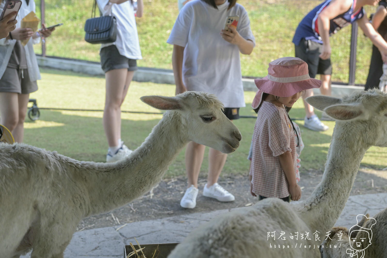 南投親子旅遊推薦！九九峰動物樂園，門票優惠、交通、周邊必玩景點一次看