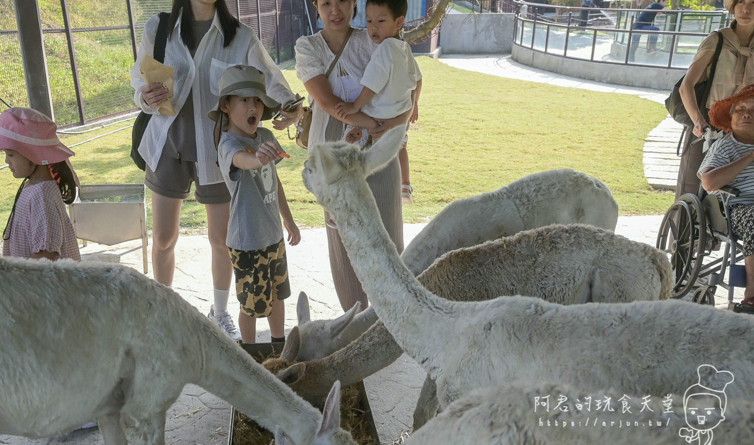 南投親子旅遊推薦！九九峰動物樂園，門票優惠、交通、周邊必玩景點一次看