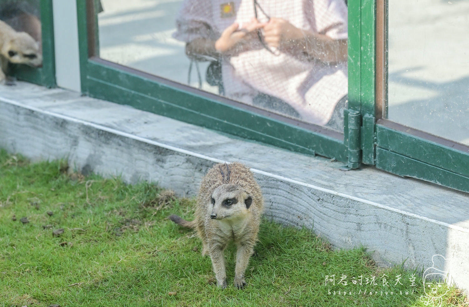 南投親子旅遊推薦！九九峰動物樂園，門票優惠、交通、周邊必玩景點一次看