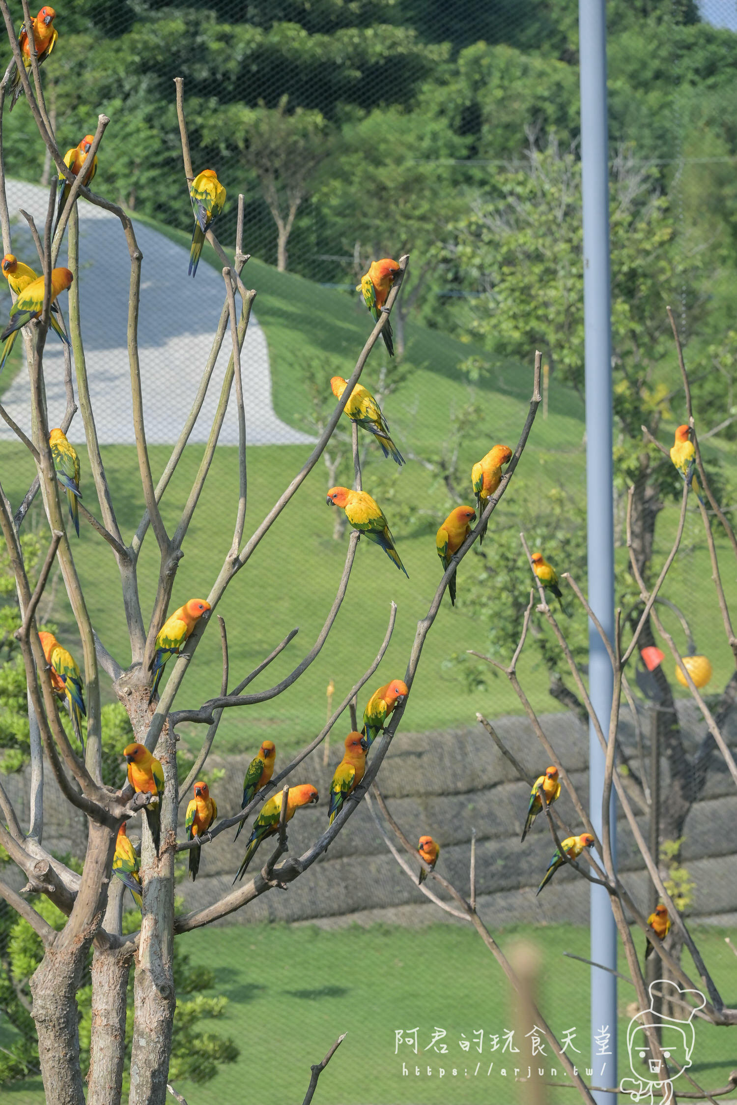 南投親子旅遊推薦！九九峰動物樂園，門票優惠、交通、周邊必玩景點一次看