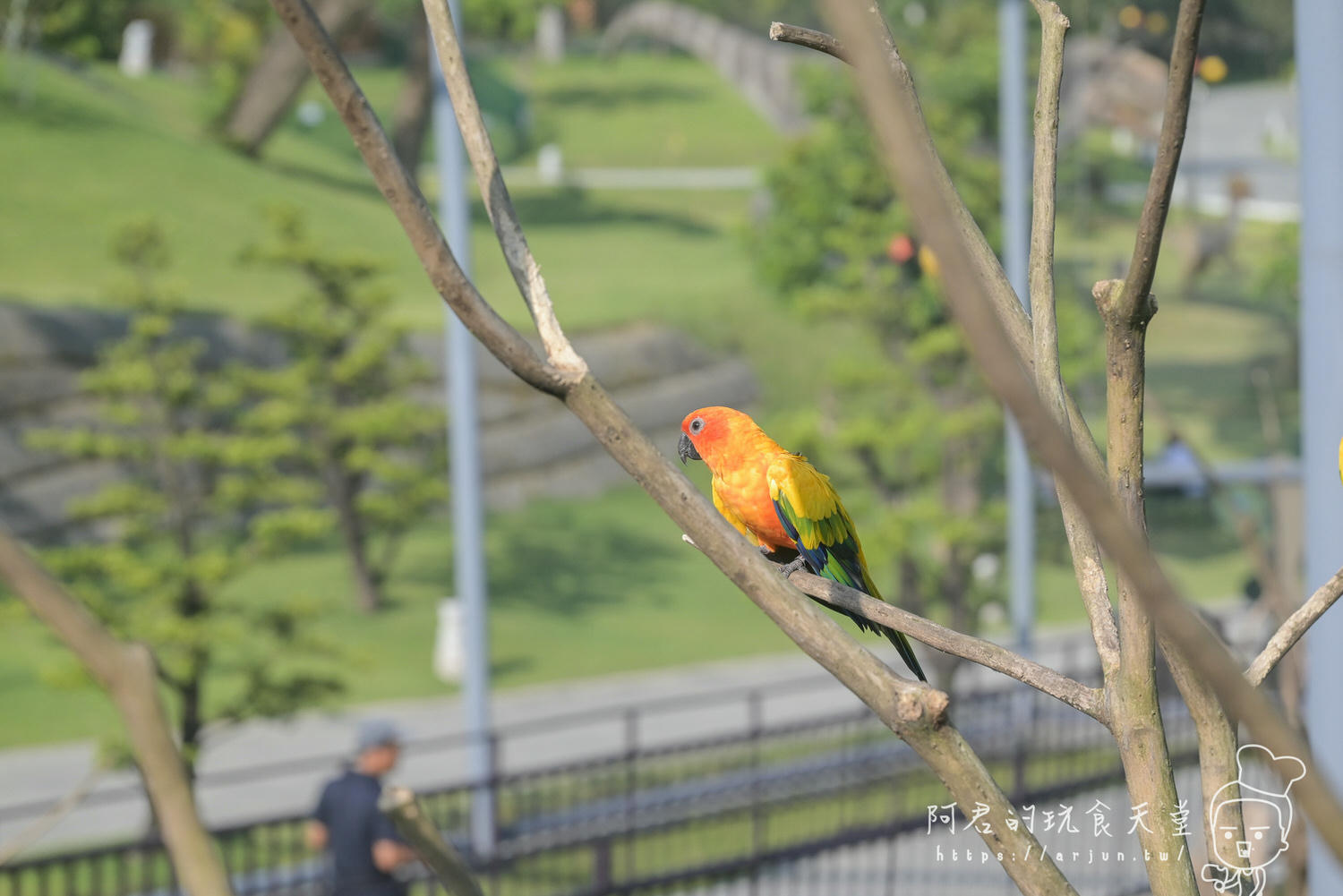 南投親子旅遊推薦！九九峰動物樂園，門票優惠、交通、周邊必玩景點一次看