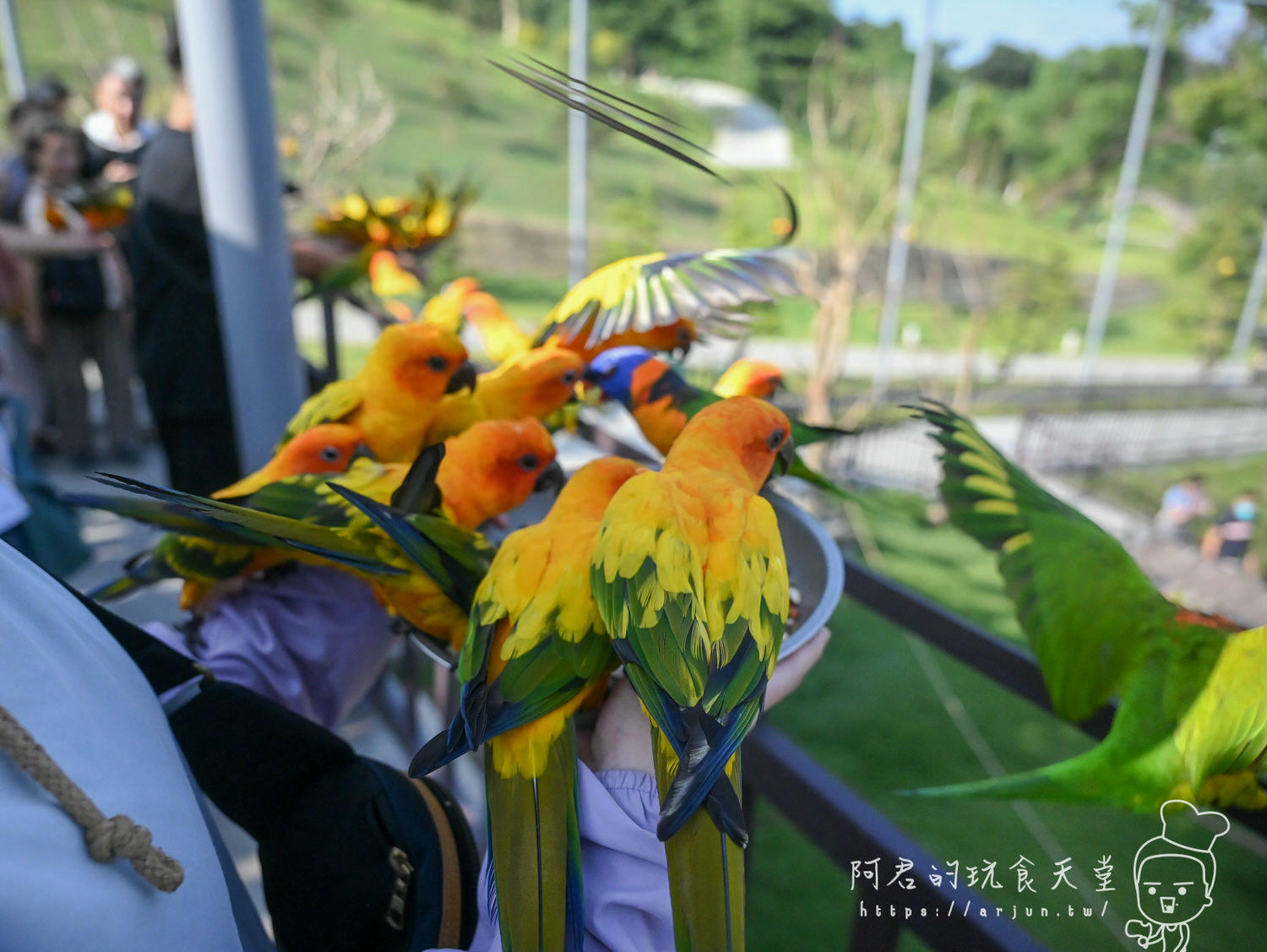 南投親子旅遊推薦！九九峰動物樂園，門票優惠、交通、周邊必玩景點一次看