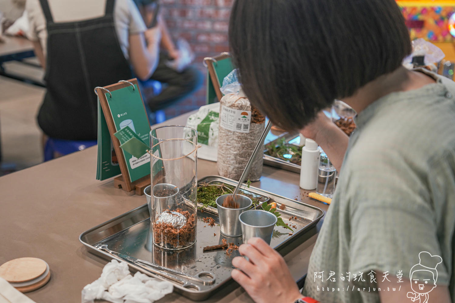 南投親子景點推薦！豐年靈芝菇類生態農場農場，免門票、採菇趣、DIY體驗、菇菇火鍋｜交通、門票、美食資訊一次整理