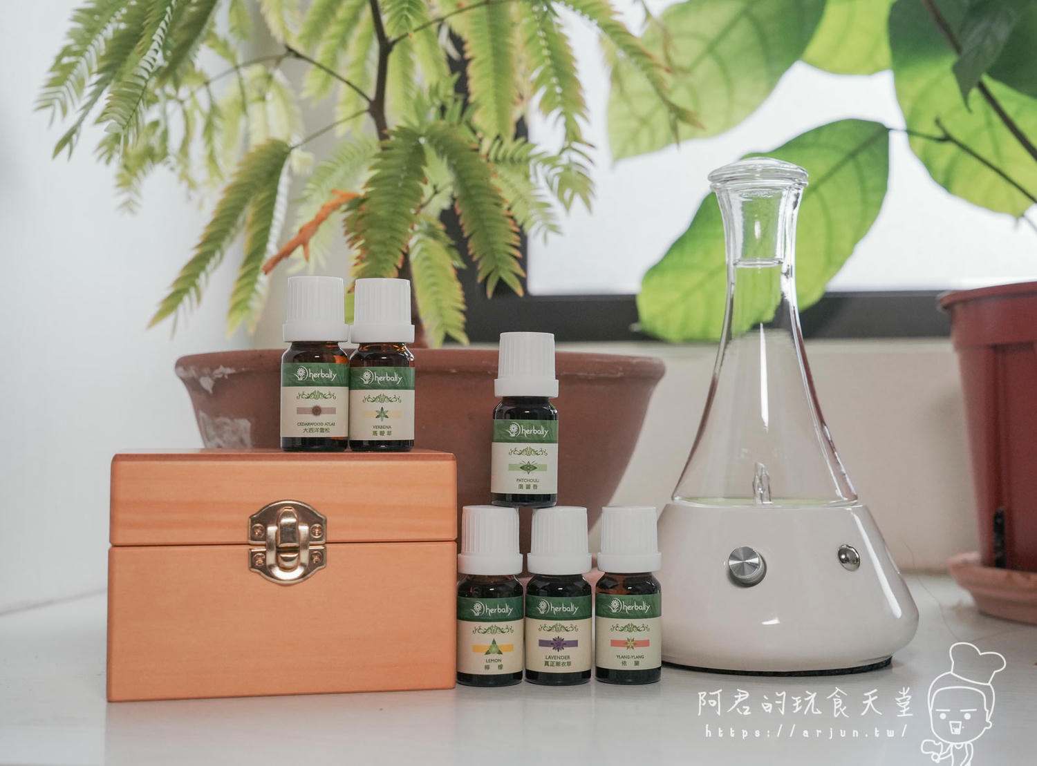 擴香儀怎麼選?Herbally擴香儀精油套組,提升生活質感的必備小物 - 第14張圖
