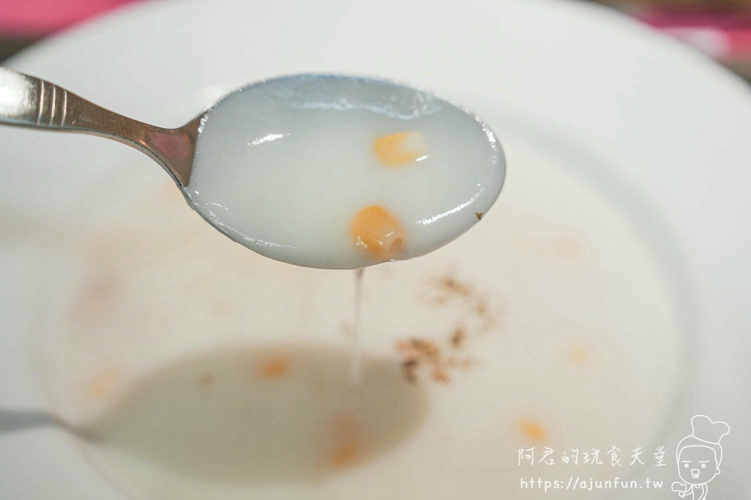 台南異國料理,Olga 俄羅斯烤肉,一秒置身俄羅斯,浪漫氛圍超加分(菜單) - 第15張圖