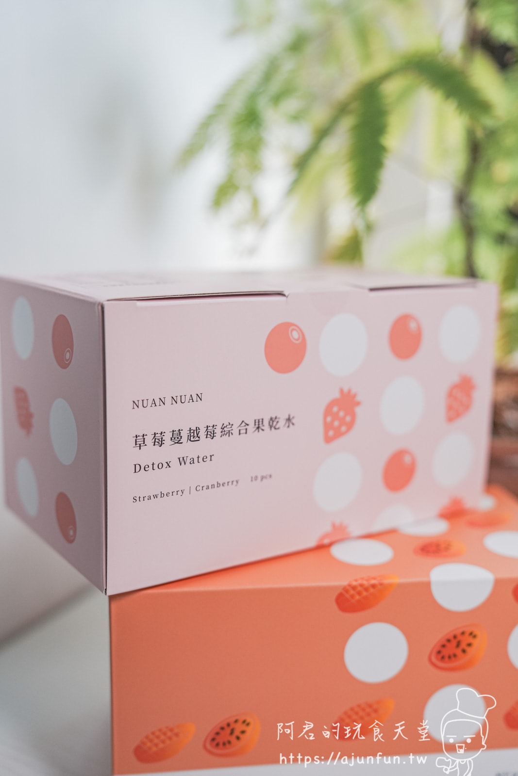 無糖無添加,暖暖純手作果乾水,健康美味的夏日飲品新選擇、冷泡熱泡都適合 - 第4張圖