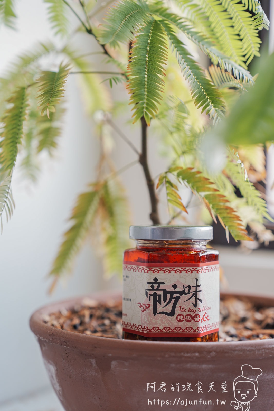 辣椒醬推薦哪家?帝方味辣椒醬,一瓶搞定各種料理,美味升級就靠它! - 第1張圖