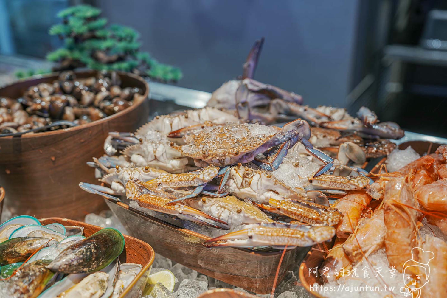台中麻辣火鍋吃到飽推薦,饗麻饗辣PLUS LALAPORT店,肉骨茶湯底、澳洲M9和牛必點!約會、慶生餐廳、聚餐首選! - 第8張圖