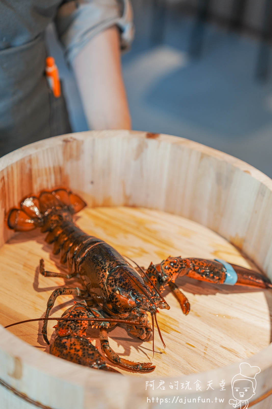 新竹火鍋活體海鮮推薦!餖煣海鮮鍋物,雙人海陸饗宴、活體波士頓龍蝦、生食級干貝,鮮度破表 - 第32張圖