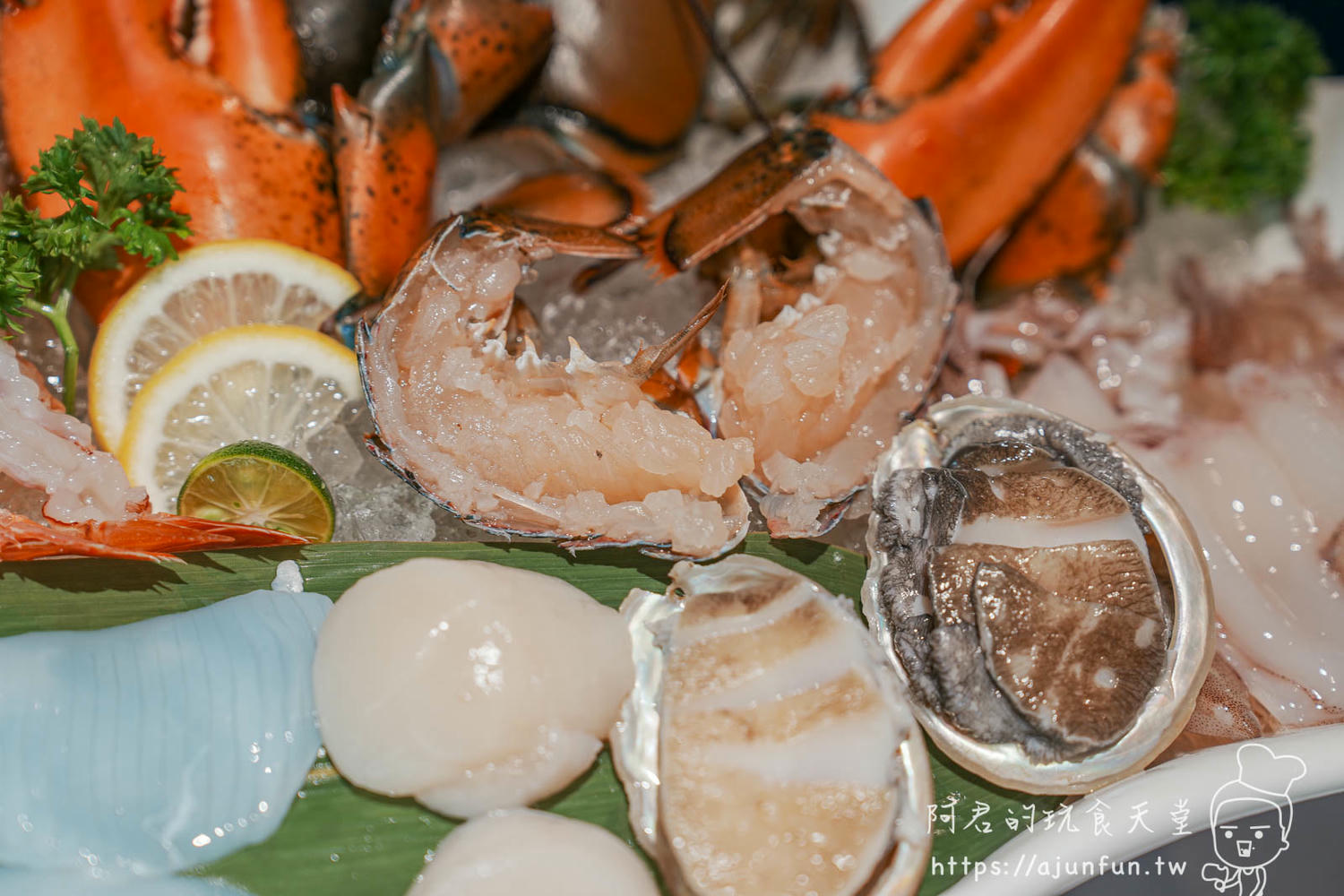 新竹火鍋活體海鮮推薦!餖煣海鮮鍋物,雙人海陸饗宴、活體波士頓龍蝦、生食級干貝,鮮度破表 - 第40張圖
