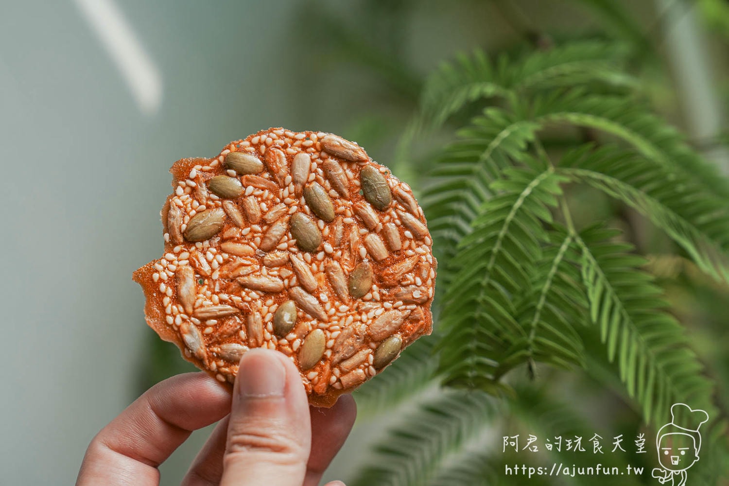 台中伴手禮,超過一甲子的甜蜜!立喜餅店,60年的用心的滋味,送禮首選 - 第18張圖