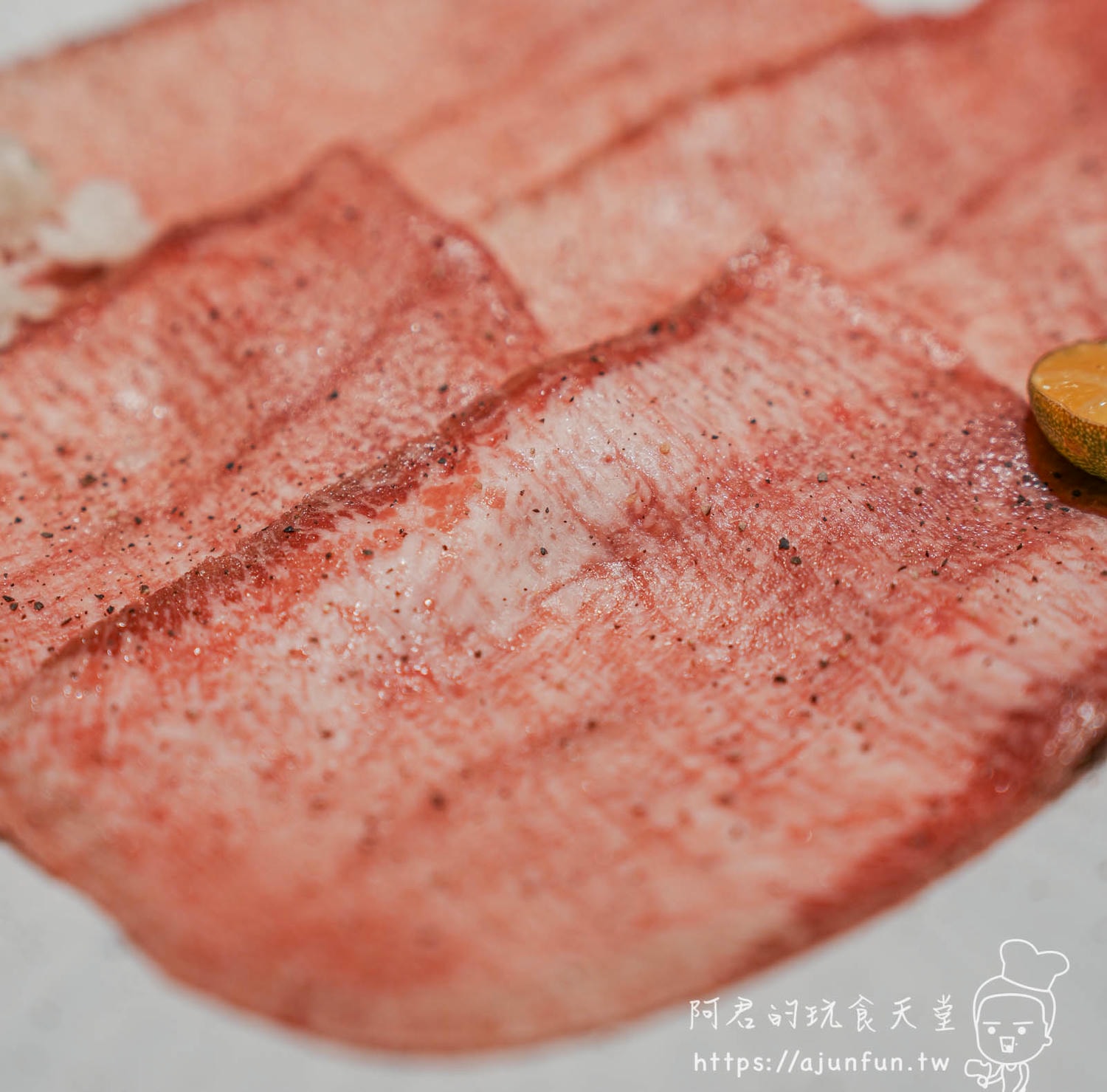 中科燒肉推薦,火火燒肉販賣所插旗福科路!高質感燒肉餐廳,頂級肉品、貼心服務還是寵物友善 - 第13張圖