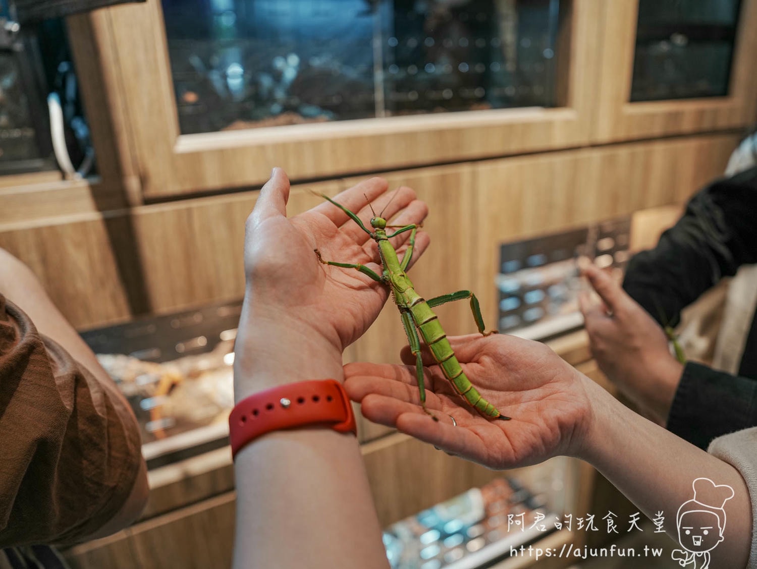 【台中特色餐廳】Ranger Land探險俱樂部,在都市的綠意中品嚐創意美食 - 第20張圖