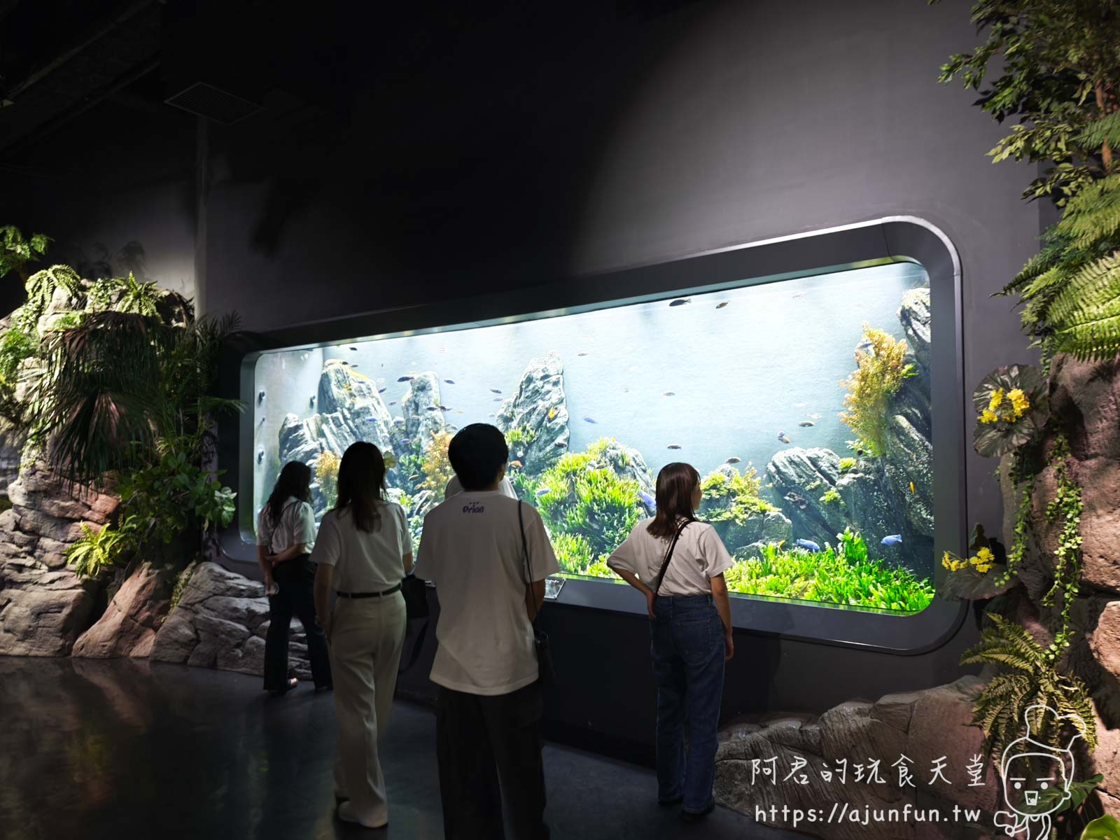 【沖繩水族館】DMM Kariyushi水族館好玩嗎?門票、交通、必看重點 - 第7張圖